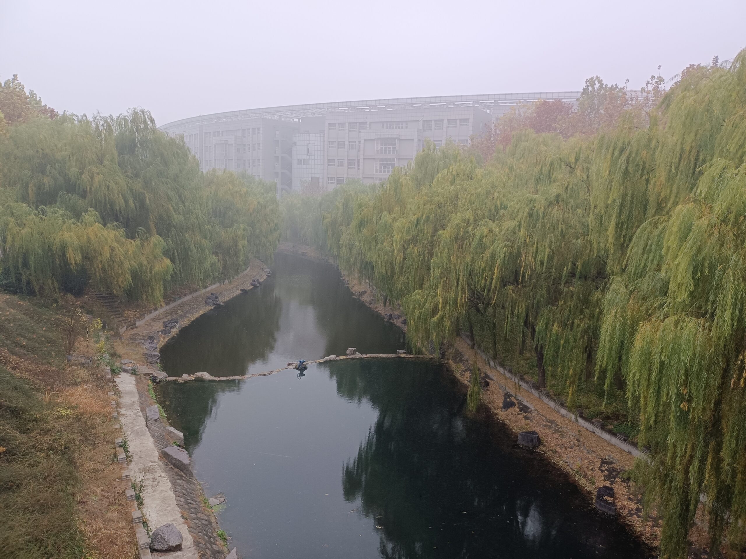 雨纷纷，这故里草木生